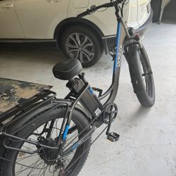 Electric Bike 