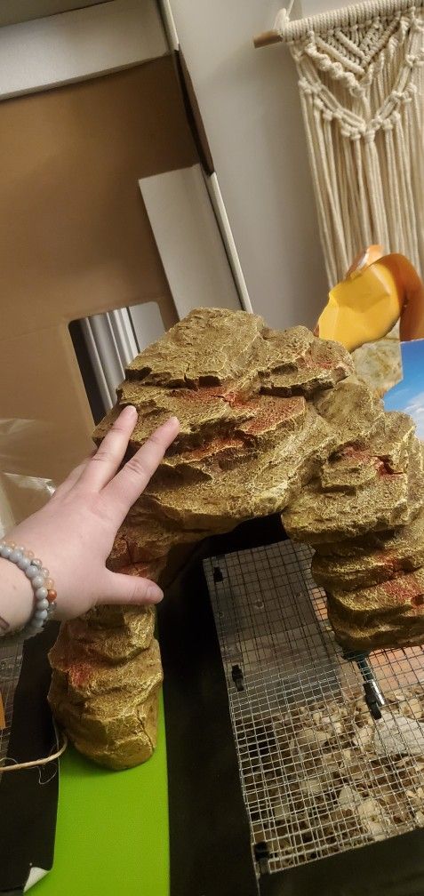 Reptile Supplies