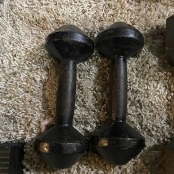 10lb Dumbbells