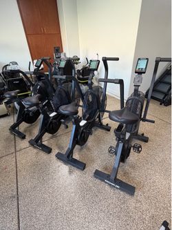Rogue Echo V2 Assault Bike with Windguard