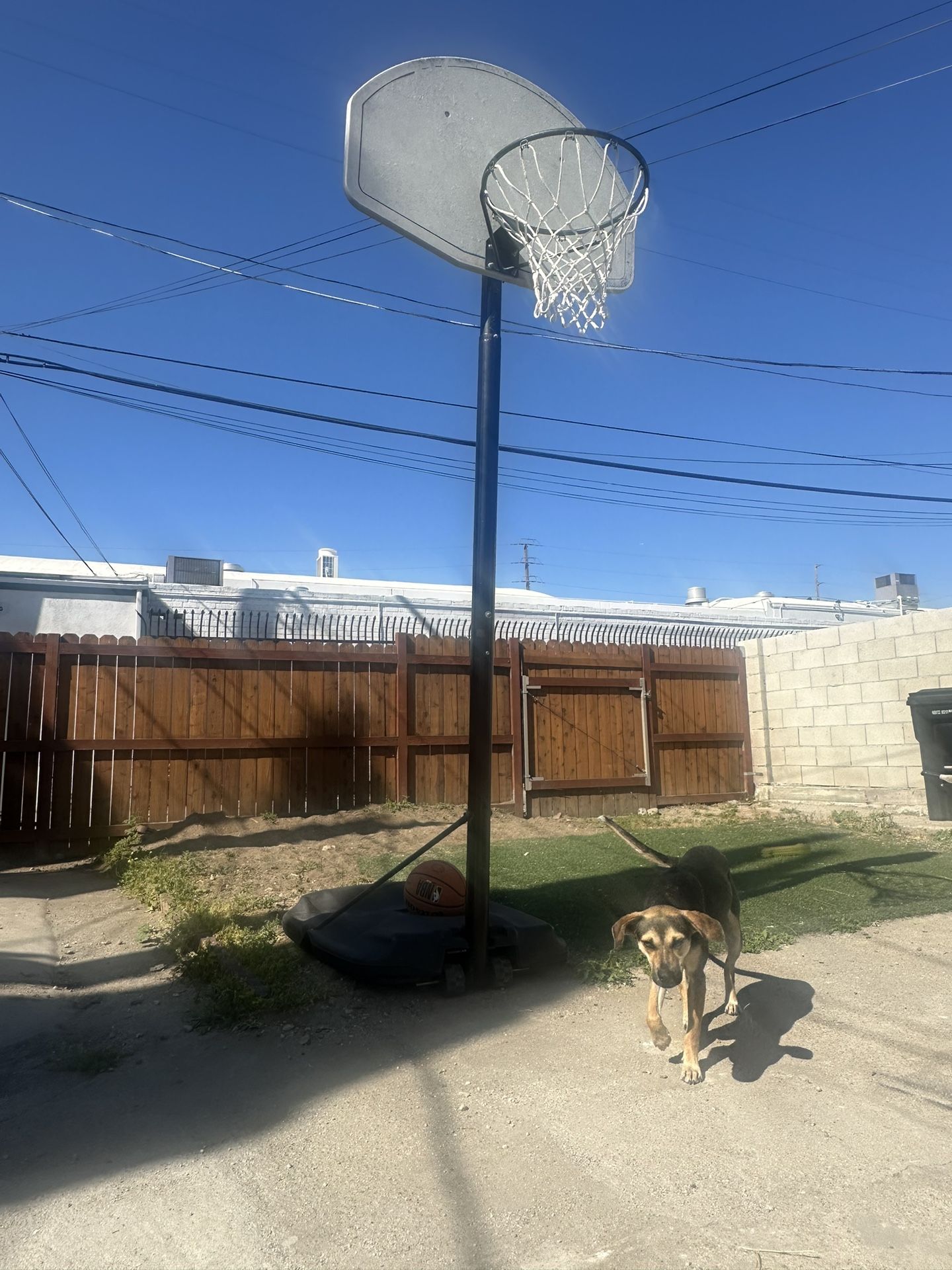 Basketball Hoop Need It Gone Give An Offer