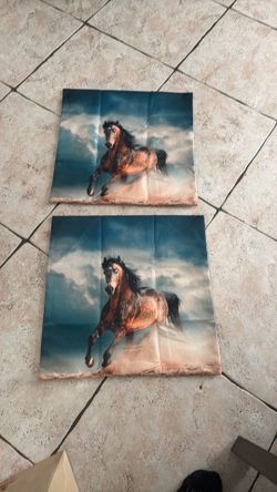 Horse pillow case