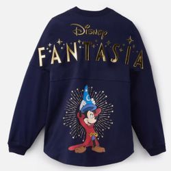 Disney Spirit Jersey 