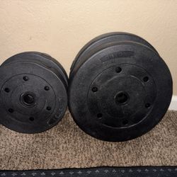 Weights 