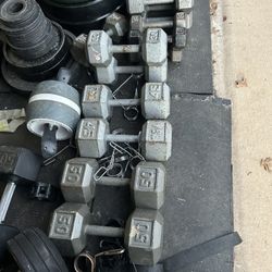 Hex Dumbbells $1 Per Pound