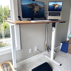 Electric Adjustable Sitting or Standing Desk with Bamboo Top—Modern & Versatile