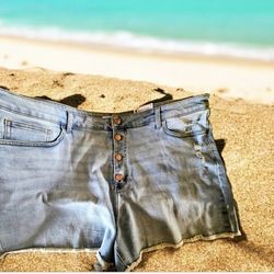 24W Women's Lauren Conrad Plus 22W Denim High Rise Distressed Cutoff Shorts