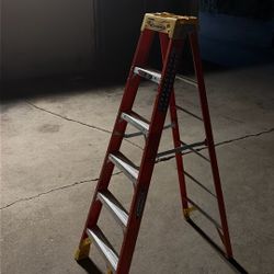 300lb Werner Ladder