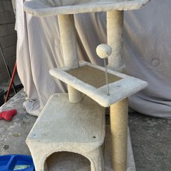 For Cats