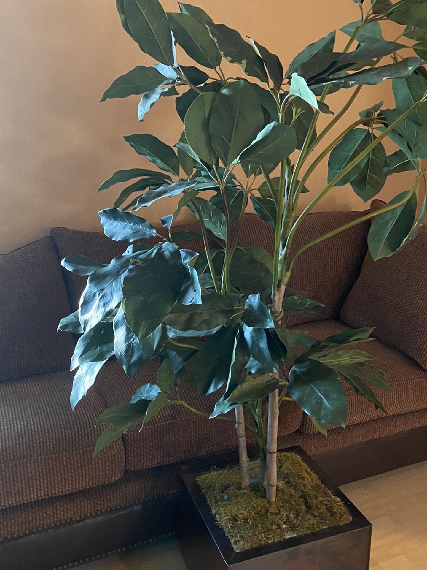 6ft Fake Plant In Amazing Condition