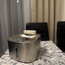 Cat Fountain