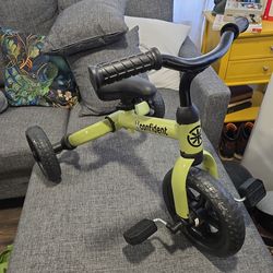 Tricycle Training Bike