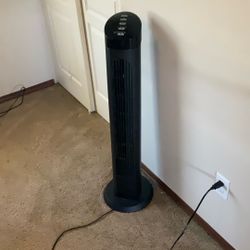 Fan
