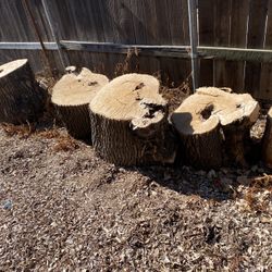 Firewood five bucks