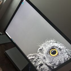 Microsoft Surface Studio (1st Gen) Used Table Touchscreen PC