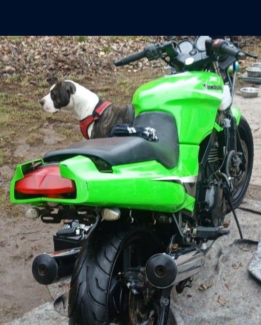 2005 Kawasaki Ninja 500R