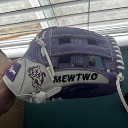 Custom Softball/Baseball Glove 