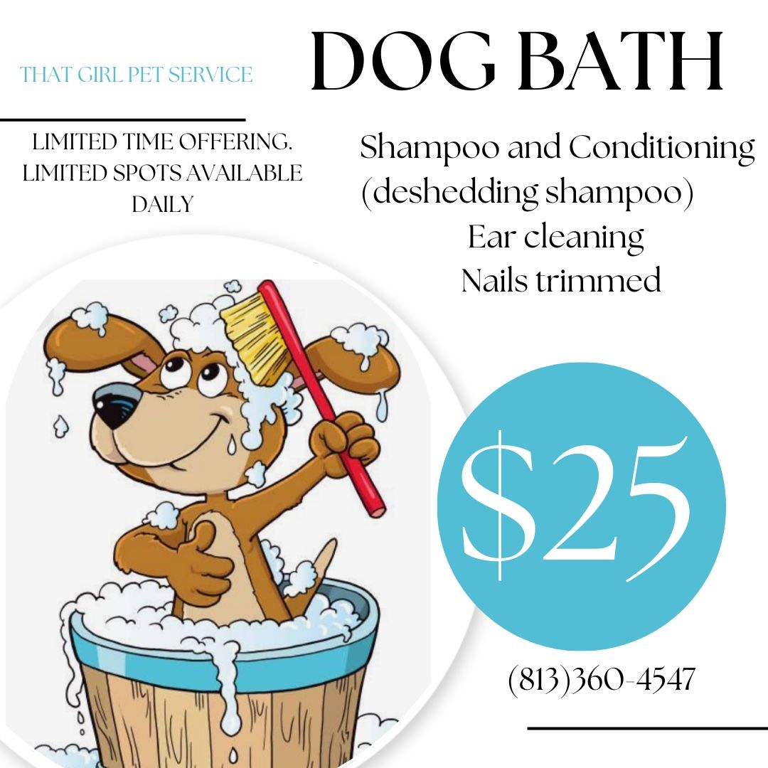 Affordable Dog Bathing 