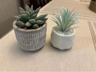 Like new ceramic succulent decor