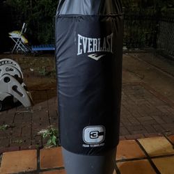 Everlast Punch Bag