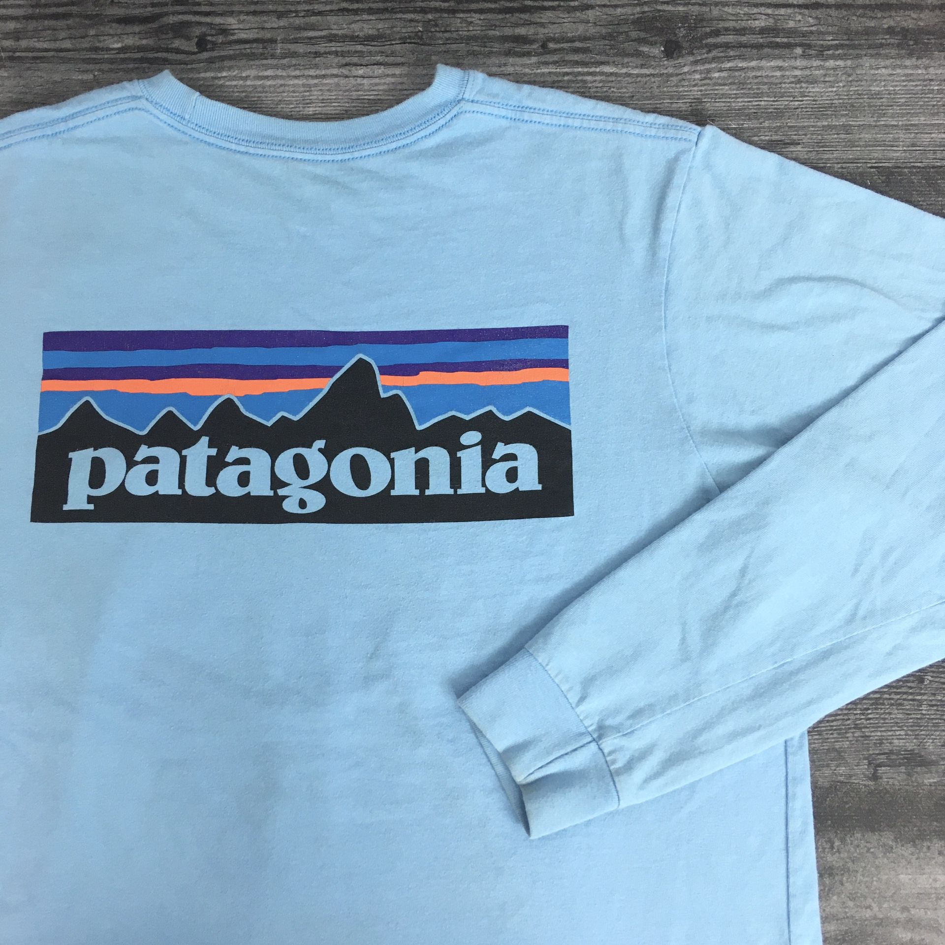 Baby Blue Patagonia Long Sleeve Shirt