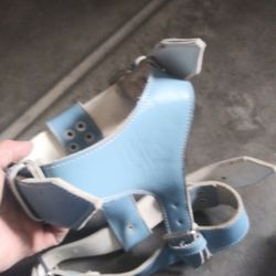 Collar And Harness Combo