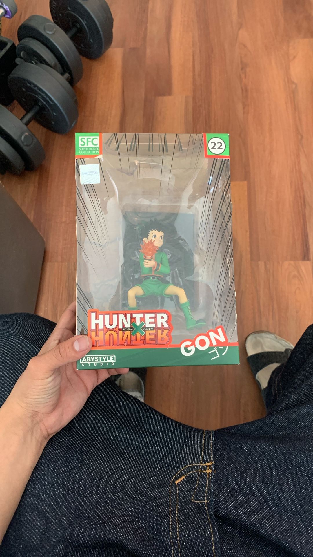 Gon HxH Anime Figure