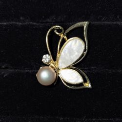 Beautiful Butterfly Brooch 🦋 