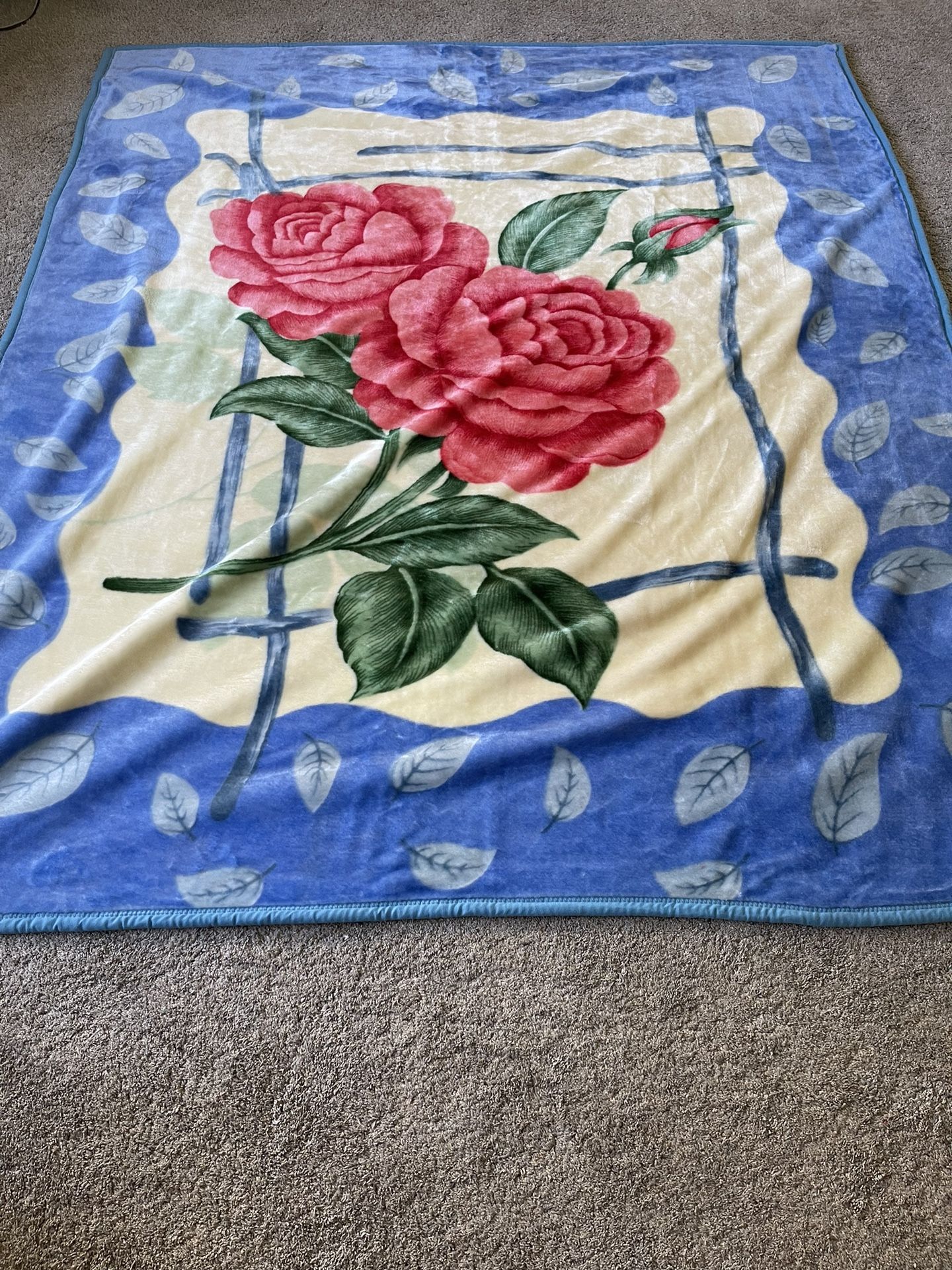Super Soft Thick Blanket New Cash Only