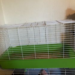 Guinea Pig Cage
