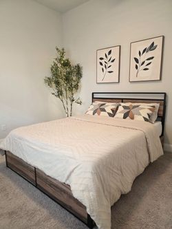 Queen Bed + 9" Foam Mattress
