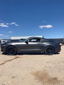 2015 mustang