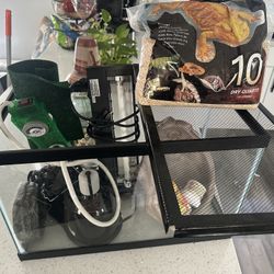 Bearded Dragon Supplys