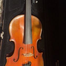 Professional viola 