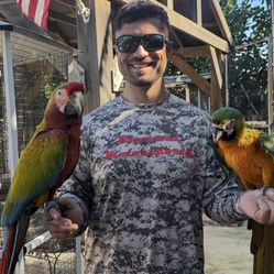 Java Wood  Play stand 