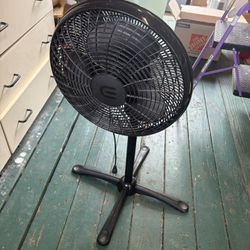 Stand Up Fan
