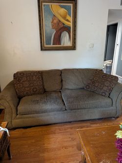 Pet friendly 2pc greenish brown couches
