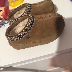 Toddler Tasman Uggs 