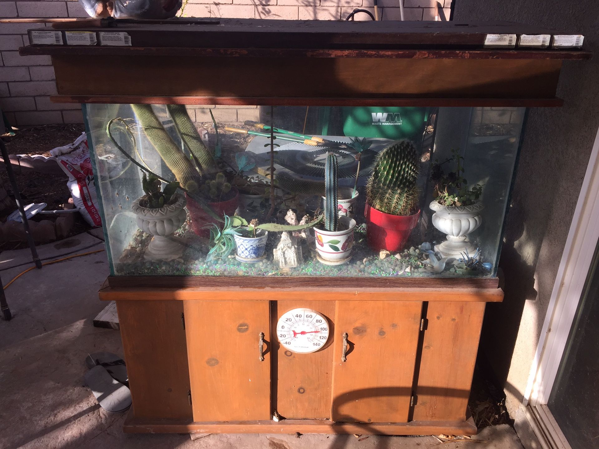 Fish tank used as terrarium