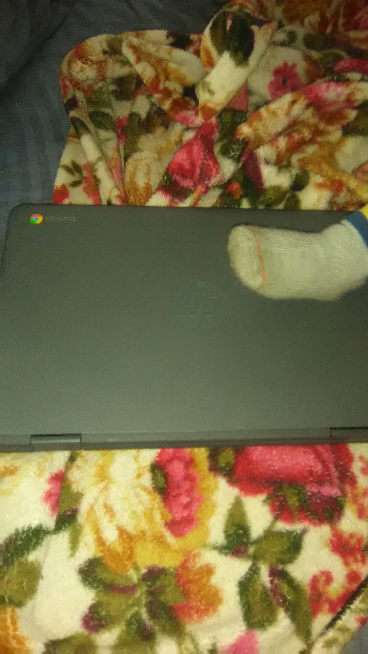 Chromebook HP