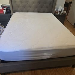 BELFAIR UPH QN TUFTED Queen 