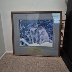 Wild Kingdom Series Wolf Pack #125 Glass Framed Art. High Quality. Perfect Condition 👌 