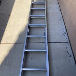 Extensión Ladder  16’