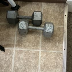 2 25 Pond Dumbells