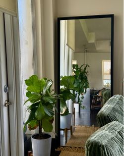 West Elm 30” x 72” Black Wood Floor Mirror