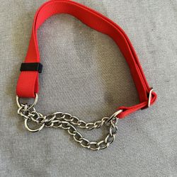 Heavy Duty Dog Collar 