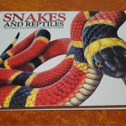 Snakes And Reptiles The Scariest Cold-Blooded Creatures On Earth Hardcover Book
