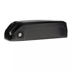 RAD Electric Bike Battery 48v x 14AH 