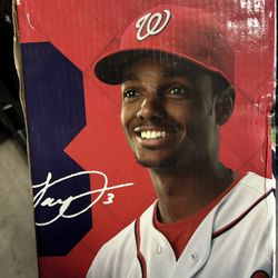 Fan Choice Washington National Michael A. Taylor Bobblehead 7" Tall