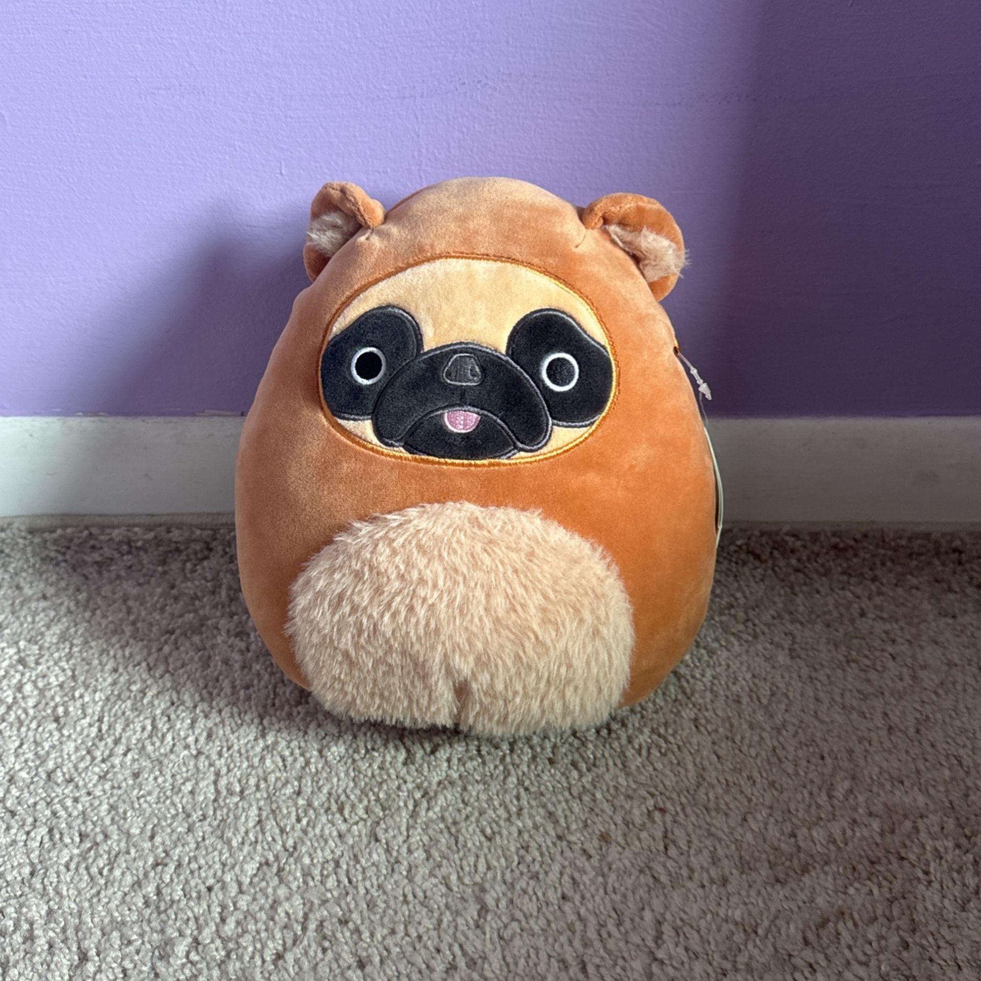 Squishmallow (Dally the Pug)
